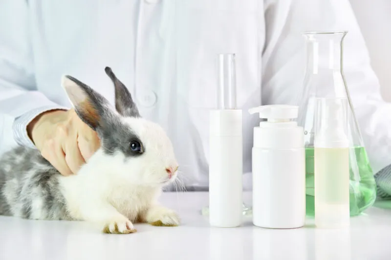 Co to są kosmetyki cruelty free?